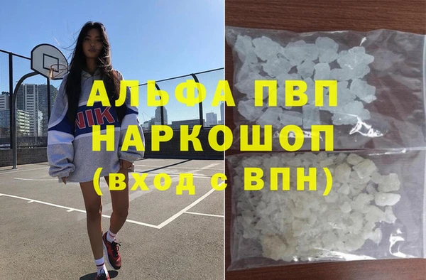 индика Слюдянка